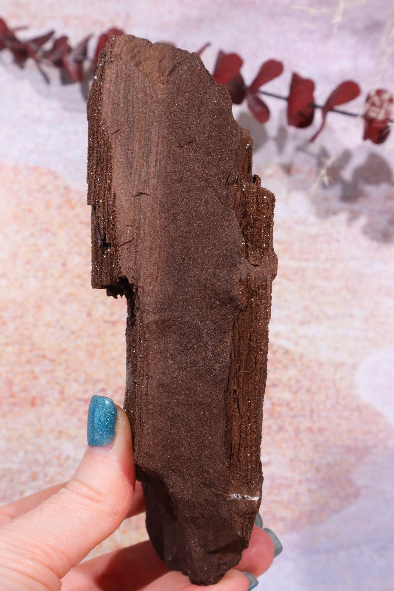 Permineralized wood With Detail, 16cm, Sold As Seen Fossil Tali & Loz Crystals