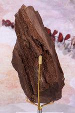 Permineralized wood With Detail, 16cm, Sold As Seen Fossil Tali & Loz Crystals