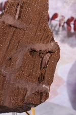 Permineralized wood With Detail, 16cm, Sold As Seen Fossil Tali & Loz Crystals