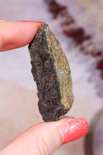 Permineralized Wood with Marcasite 19.7g Fossil Tali & Loz Crystals