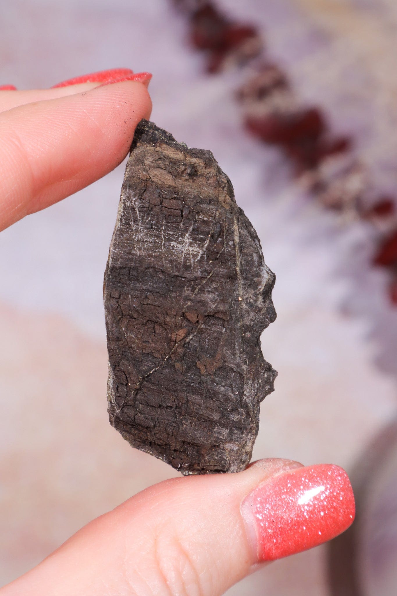 Permineralized Wood with Marcasite 19.7g Fossil Tali & Loz Crystals