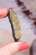 Permineralized Wood with Marcasite 19.7g Fossil Tali & Loz Crystals