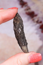 Permineralized Wood with Marcasite 19.7g Fossil Tali & Loz Crystals