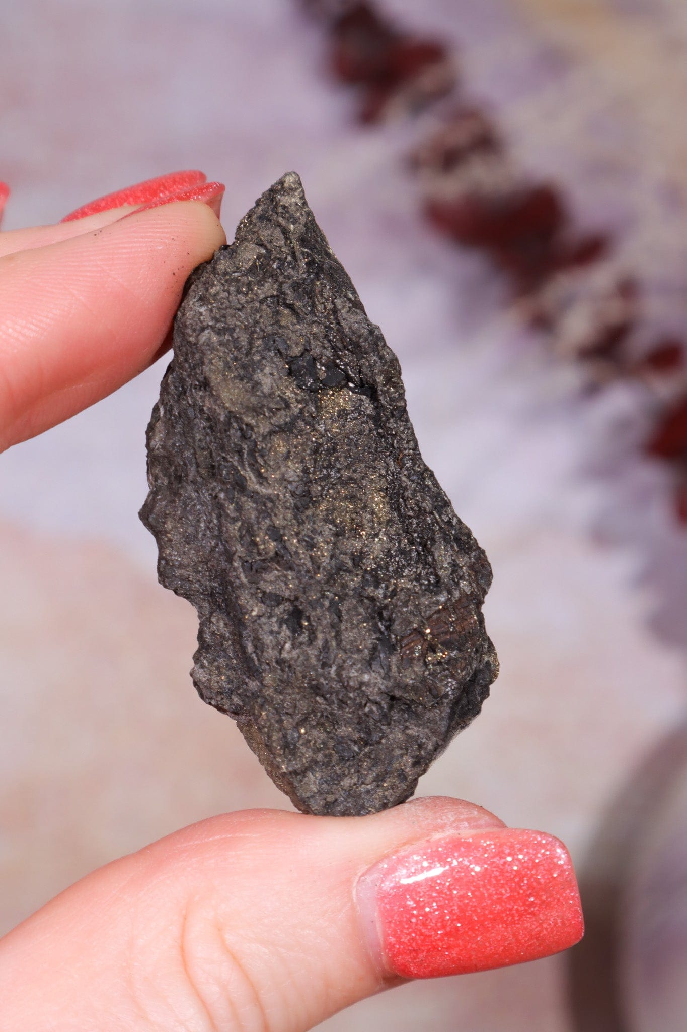 Permineralized Wood with Marcasite 19.7g Fossil Tali & Loz Crystals