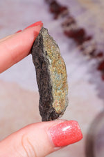 Permineralized Wood with Marcasite 19.7g Fossil Tali & Loz Crystals