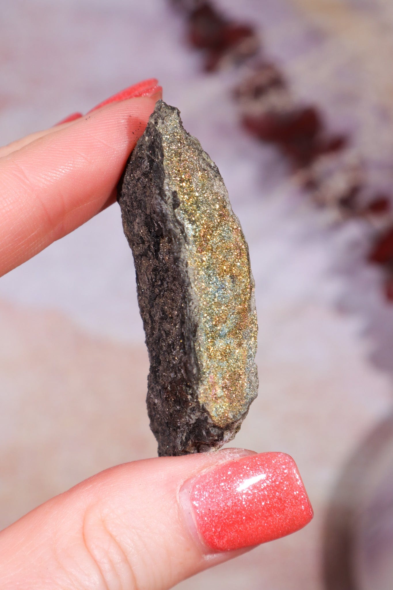 Permineralized Wood with Marcasite 19.7g Fossil Tali & Loz Crystals