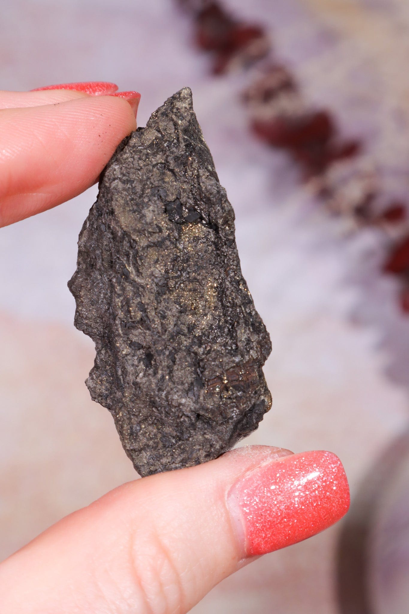 Permineralized Wood with Marcasite 19.7g Fossil Tali & Loz Crystals