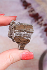 Permineralized Wood with Marcasite 24.4g Fossil Tali & Loz Crystals