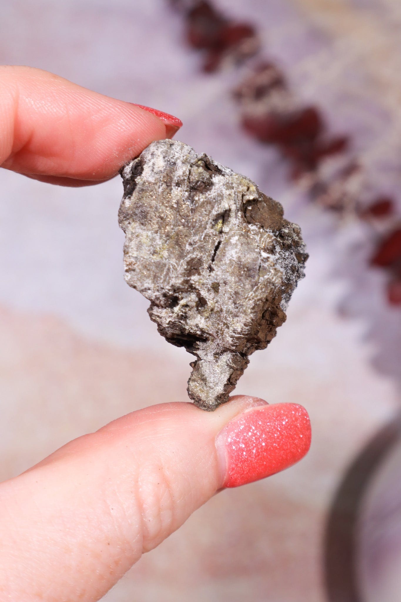 Permineralized Wood with Marcasite 24.4g Fossil Tali & Loz Crystals