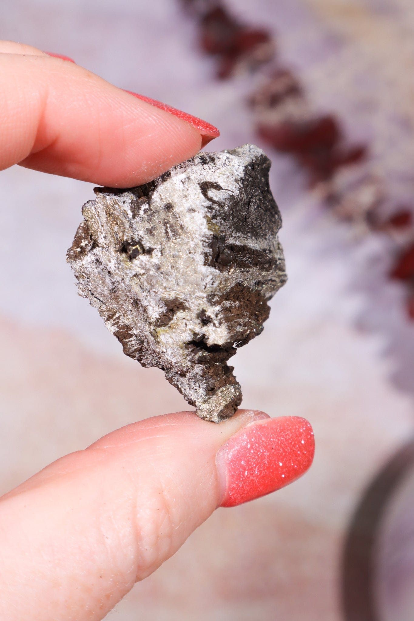 Permineralized Wood with Marcasite 24.4g Fossil Tali & Loz Crystals