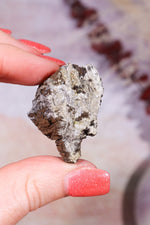 Permineralized Wood with Marcasite 24.4g Fossil Tali & Loz Crystals