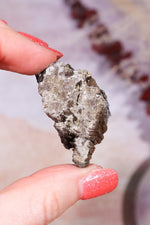 Permineralized Wood with Marcasite 24.4g Fossil Tali & Loz Crystals