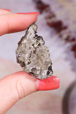 Permineralized Wood with Marcasite 24.4g Fossil Tali & Loz Crystals