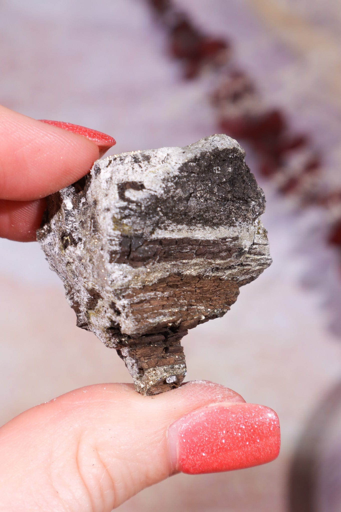 Permineralized Wood with Marcasite 24.4g Fossil Tali & Loz Crystals