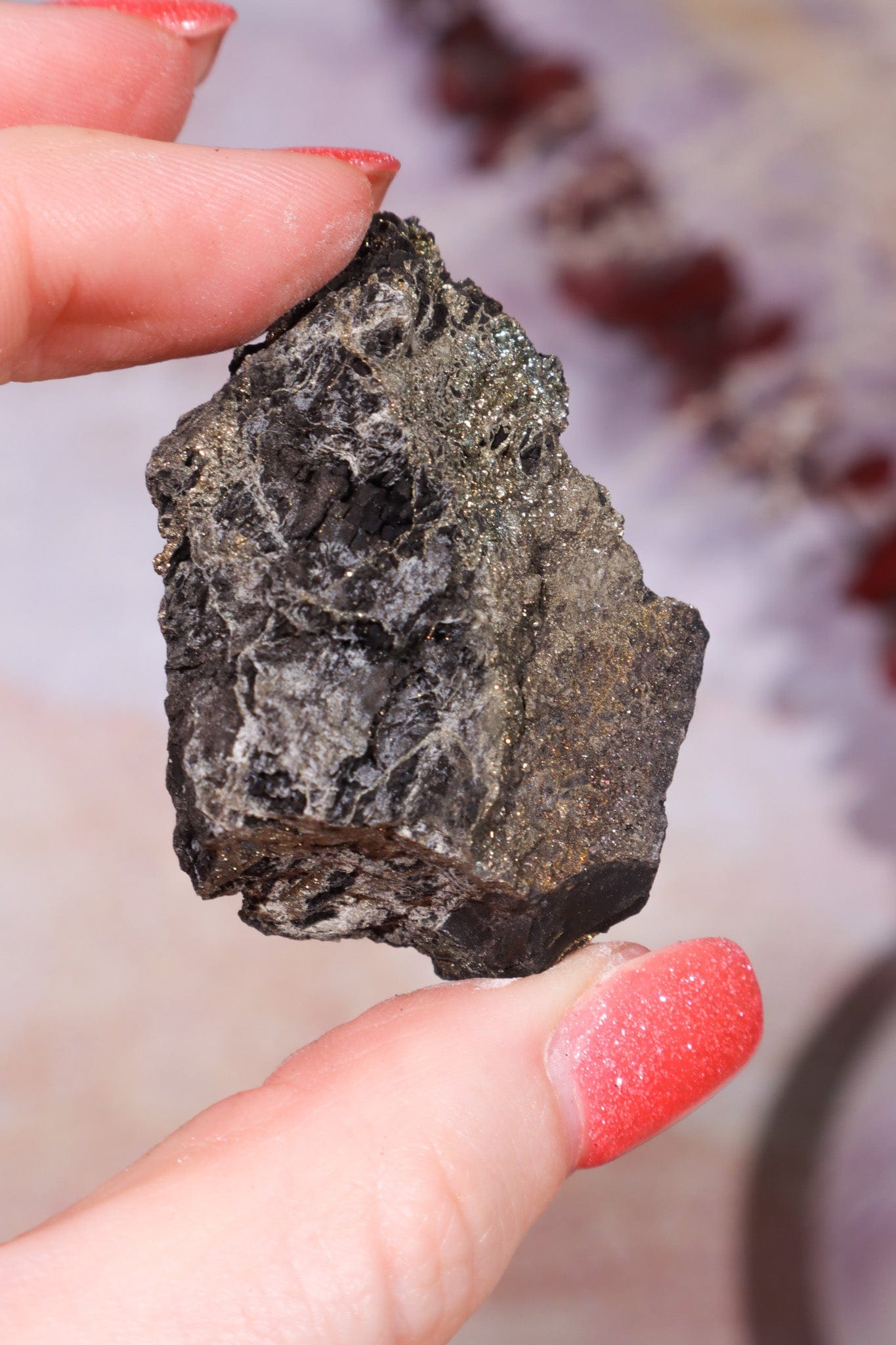 Permineralized Wood with Marcasite 29.56g Fossil Tali & Loz Crystals