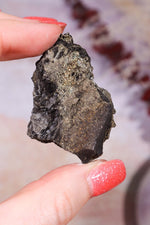 Permineralized Wood with Marcasite 29.56g Fossil Tali & Loz Crystals