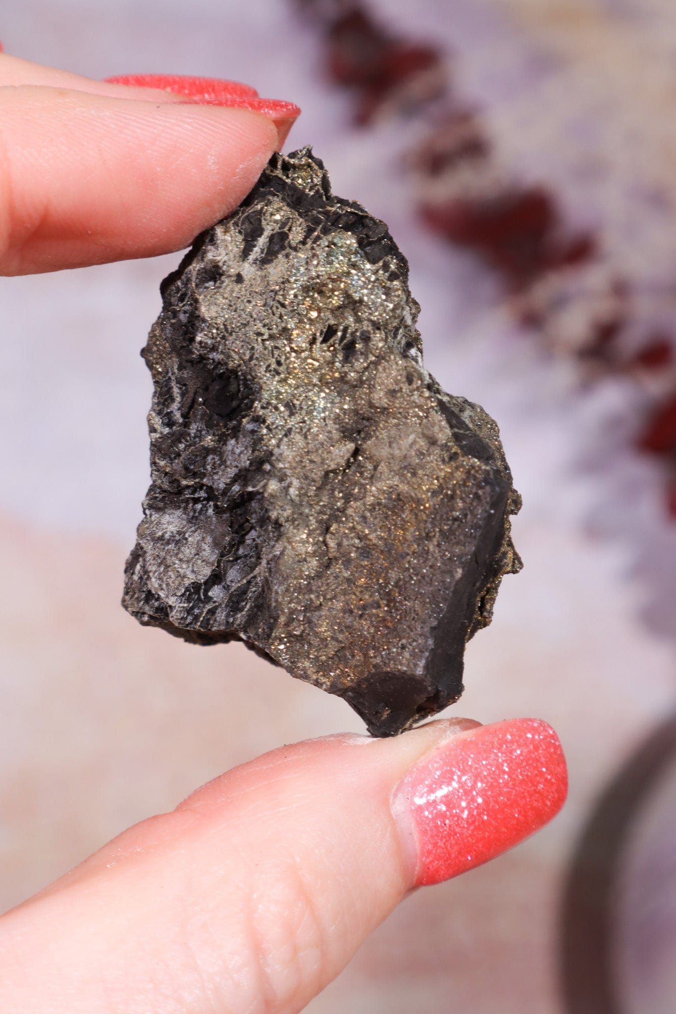 Permineralized Wood with Marcasite 29.56g Fossil Tali & Loz Crystals