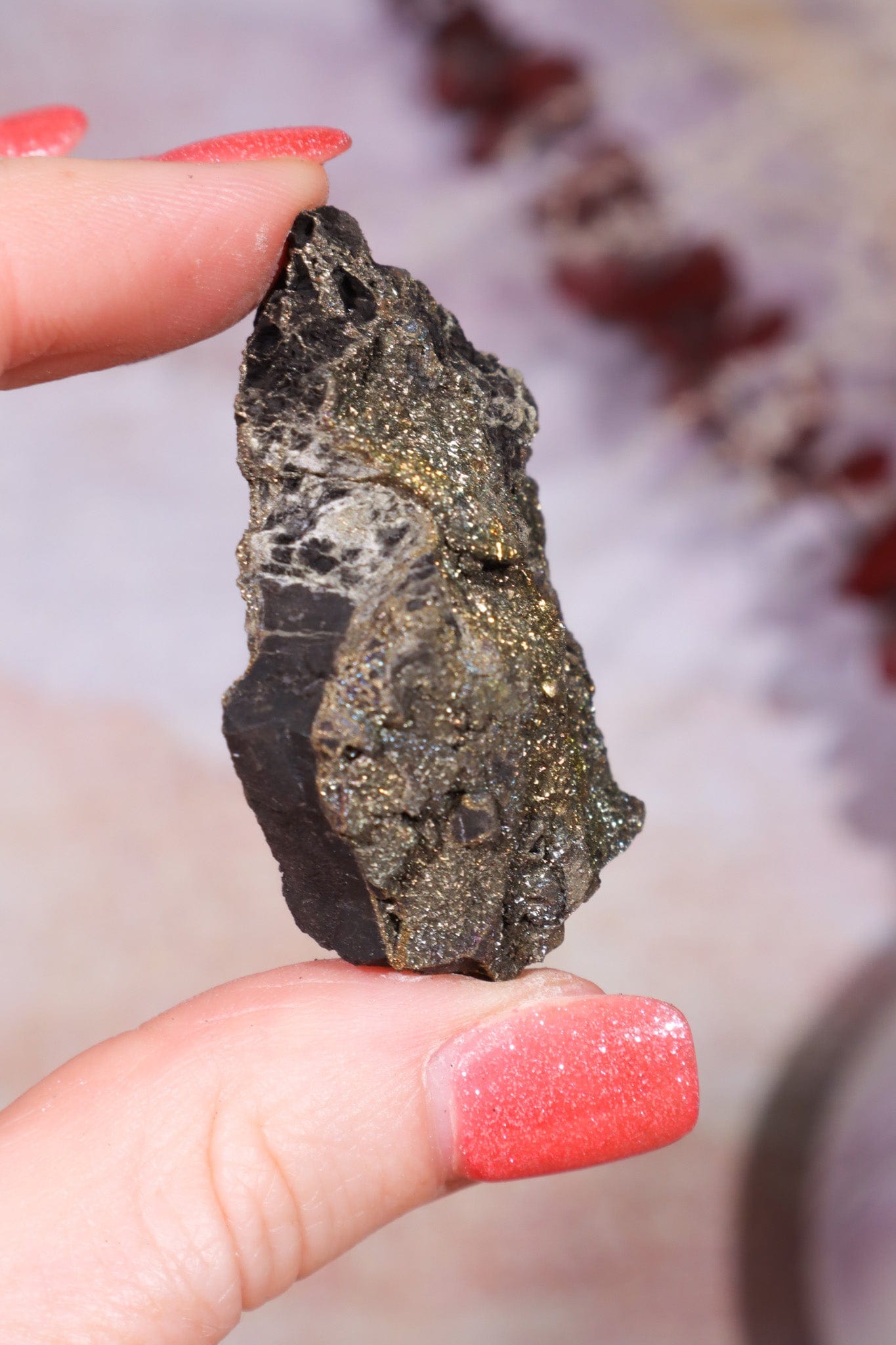 Permineralized Wood with Marcasite 29.56g Fossil Tali & Loz Crystals