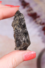 Permineralized Wood with Marcasite 29.56g Fossil Tali & Loz Crystals