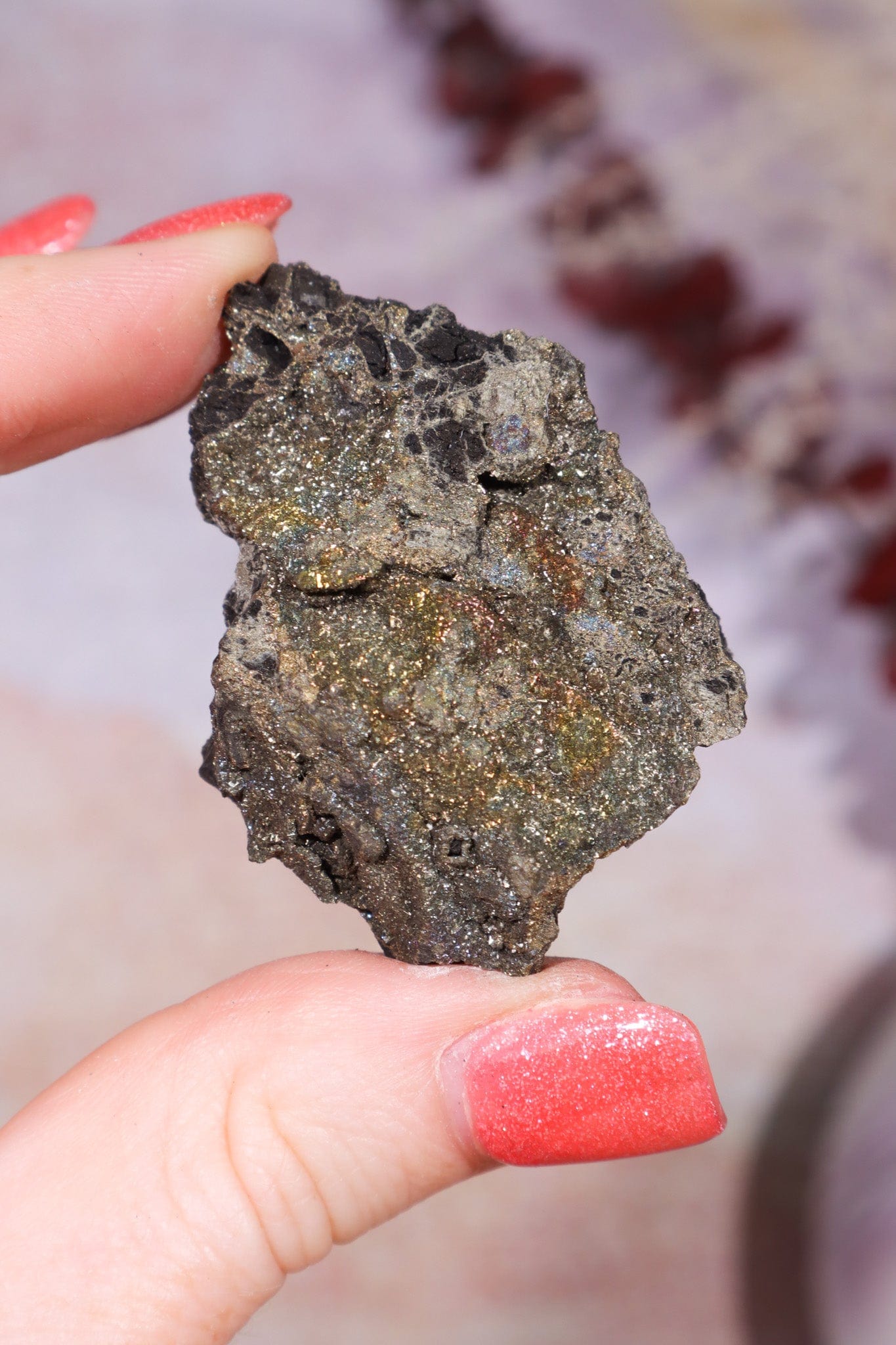 Permineralized Wood with Marcasite 29.56g Fossil Tali & Loz Crystals