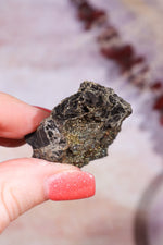 Permineralized Wood with Marcasite 29.56g Fossil Tali & Loz Crystals