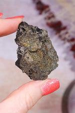 Permineralized Wood with Marcasite 29.56g Fossil Tali & Loz Crystals