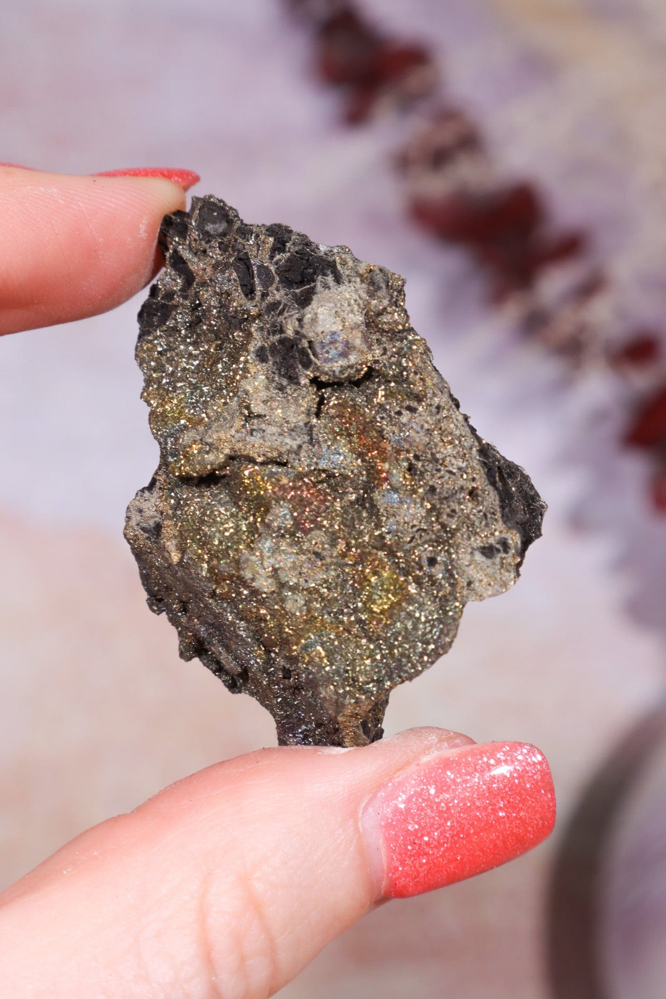 Permineralized Wood with Marcasite 29.56g Fossil Tali & Loz Crystals