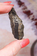 Permineralized Wood with Marcasite 29.56g Fossil Tali & Loz Crystals