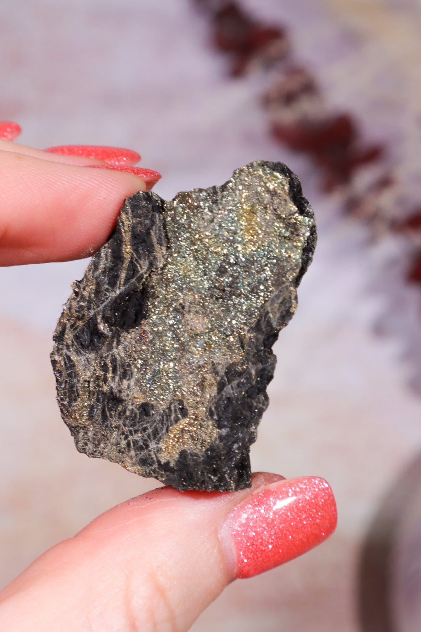 Permineralized Wood with Marcasite 29.5g Fossil Tali & Loz Crystals