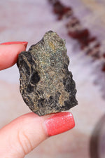 Permineralized Wood with Marcasite 29.5g Fossil Tali & Loz Crystals