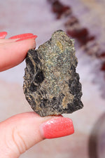 Permineralized Wood with Marcasite 29.5g Fossil Tali & Loz Crystals