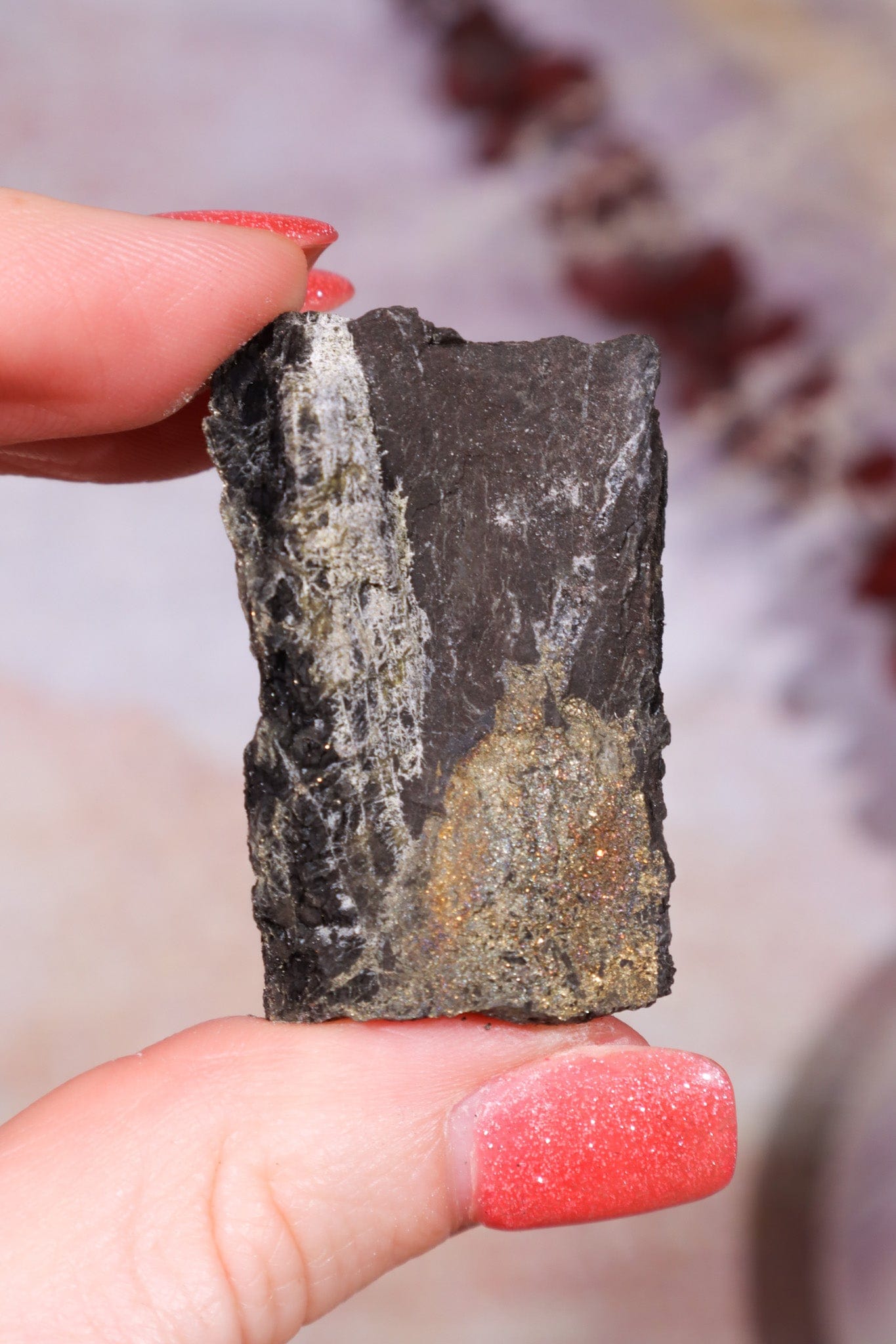 Permineralized Wood with Marcasite 29.5g Fossil Tali & Loz Crystals