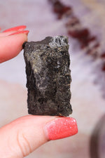 Permineralized Wood with Marcasite 29.5g Fossil Tali & Loz Crystals