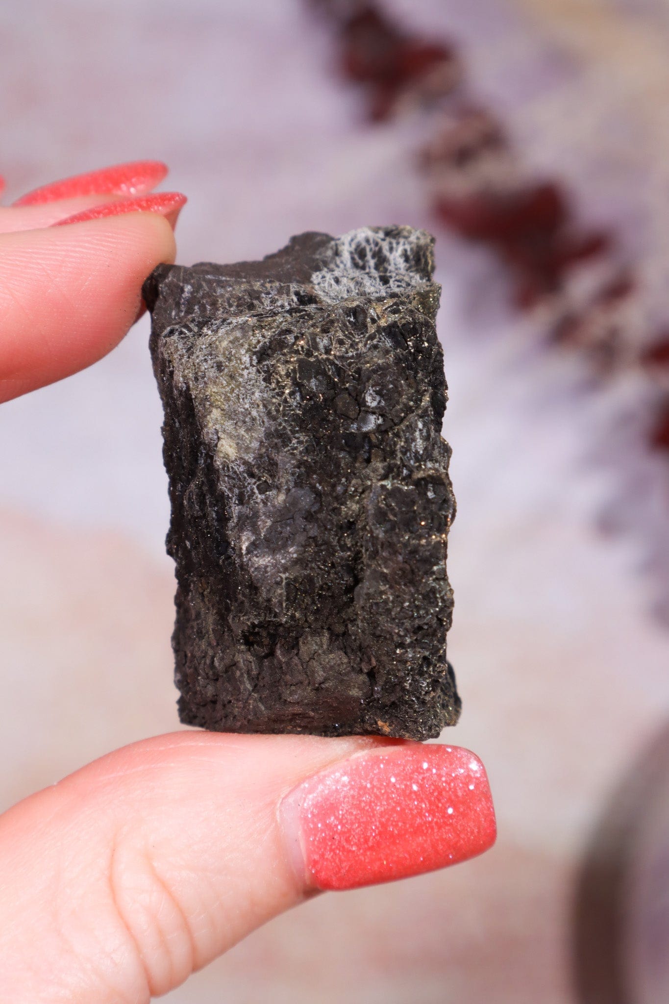 Permineralized Wood with Marcasite 29.5g Fossil Tali & Loz Crystals