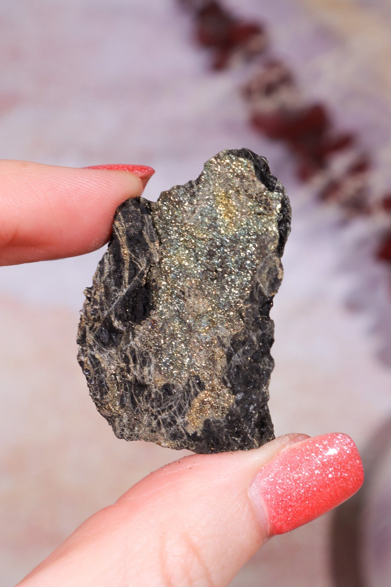 Permineralized Wood with Marcasite 29.5g Fossil Tali & Loz Crystals