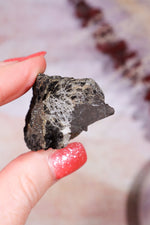 Permineralized Wood with Marcasite 29.5g Fossil Tali & Loz Crystals