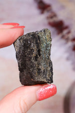 Permineralized Wood with Marcasite 29.5g Fossil Tali & Loz Crystals