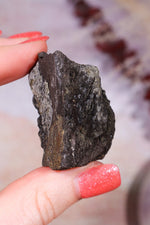 Permineralized Wood with Marcasite 29.5g Fossil Tali & Loz Crystals