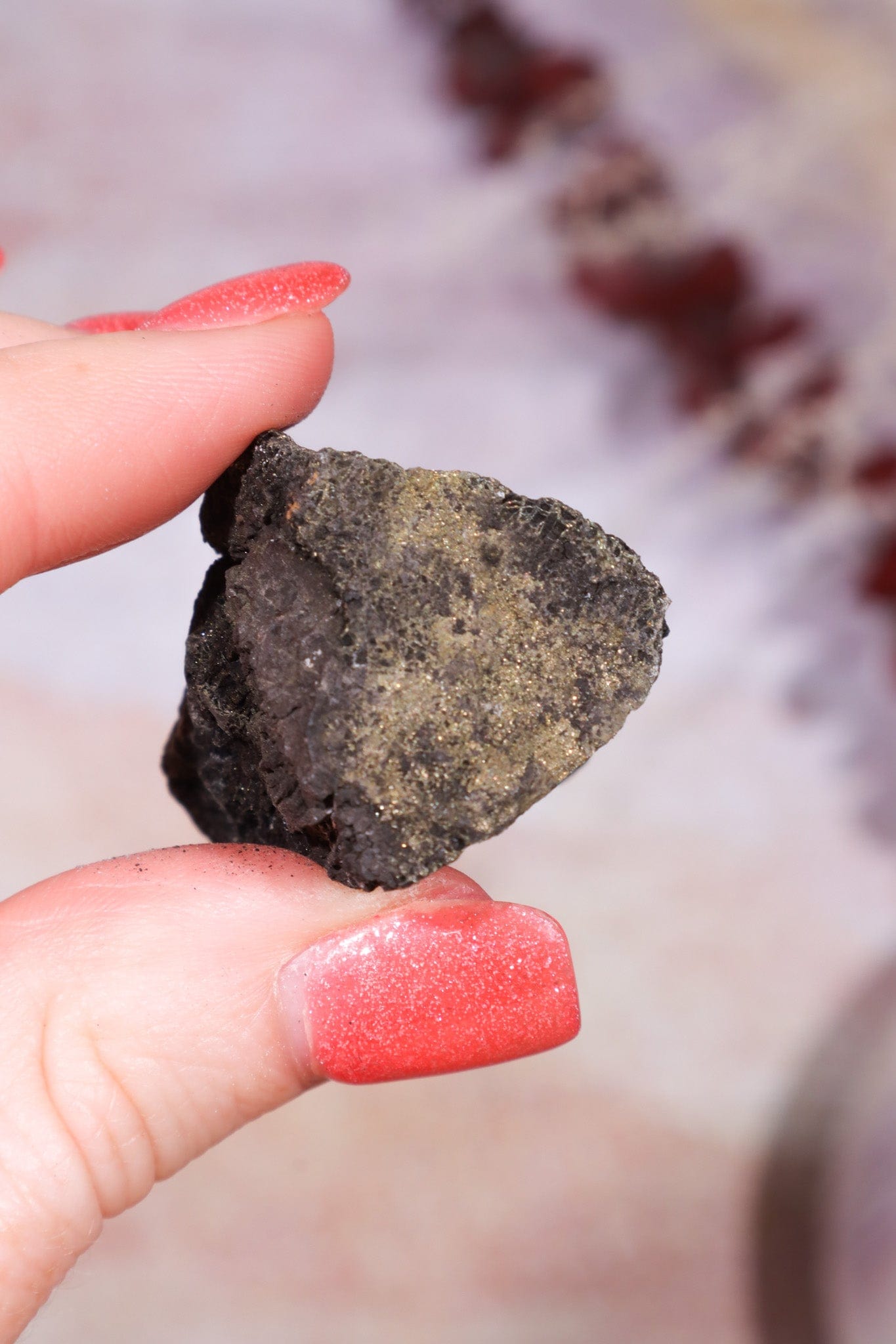 Permineralized Wood with Marcasite 29.5g Fossil Tali & Loz Crystals