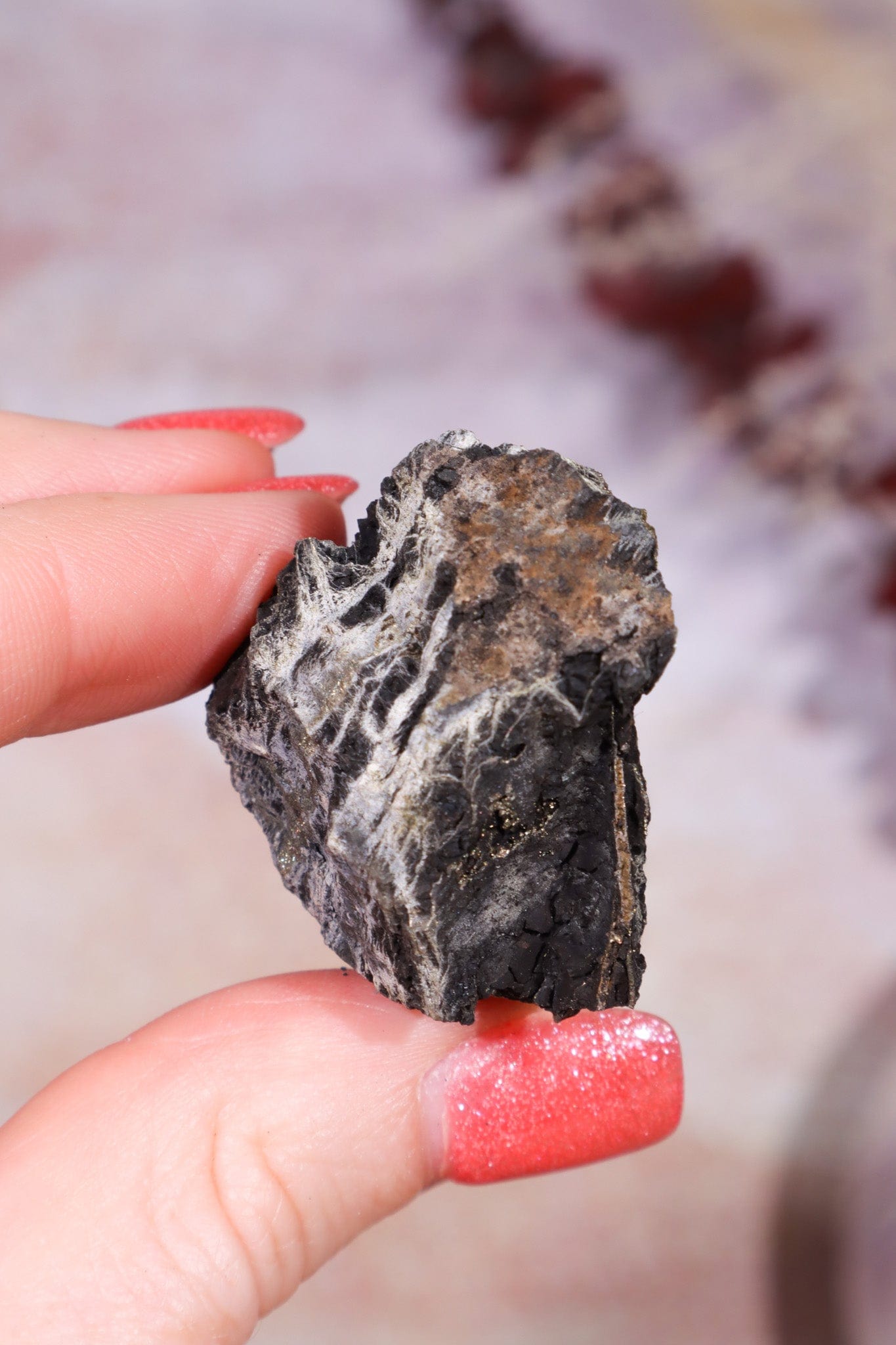 Permineralized Wood with Marcasite 29.6g Fossil Tali & Loz Crystals