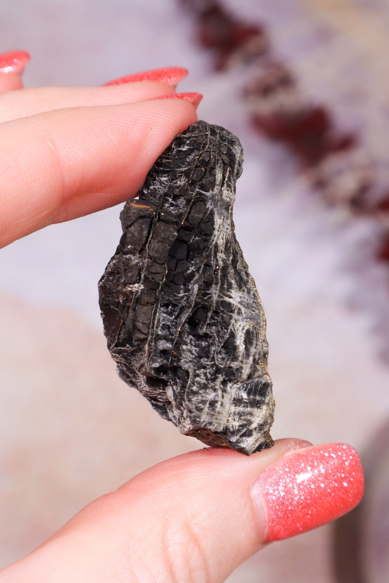 Permineralized Wood with Marcasite 29.6g Fossil Tali & Loz Crystals