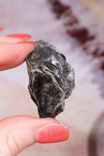 Permineralized Wood with Marcasite 29.6g Fossil Tali & Loz Crystals