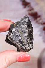 Permineralized Wood with Marcasite 29.6g Fossil Tali & Loz Crystals