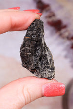 Permineralized Wood with Marcasite 29.6g Fossil Tali & Loz Crystals