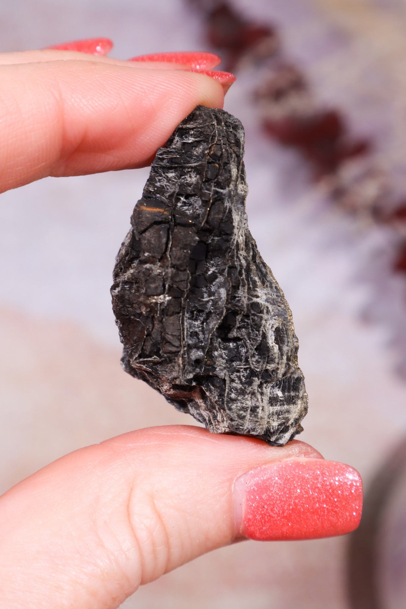 Permineralized Wood with Marcasite 29.6g Fossil Tali & Loz Crystals