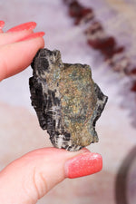 Permineralized Wood with Marcasite 29.6g Fossil Tali & Loz Crystals