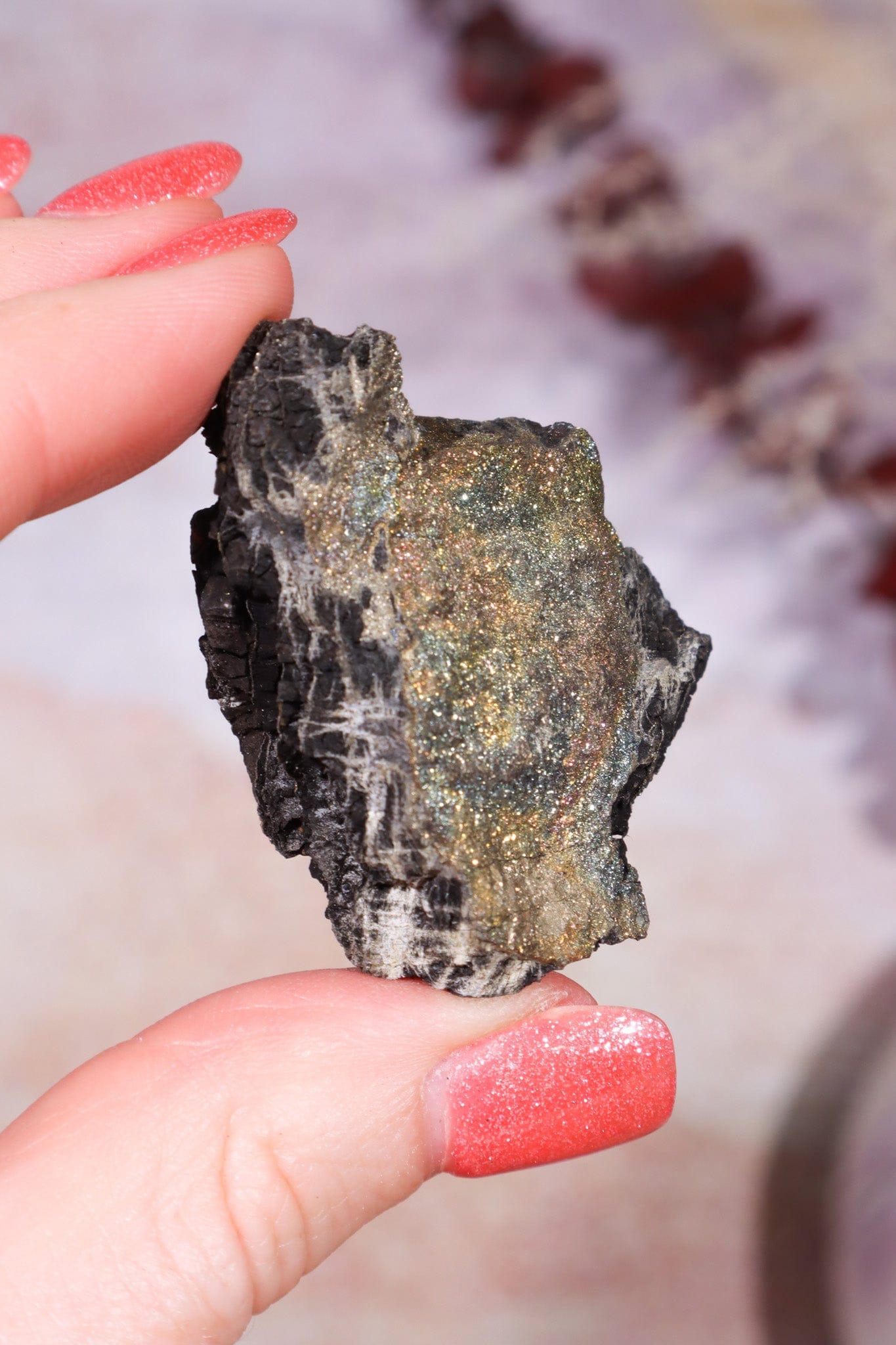 Permineralized Wood with Marcasite 29.6g Fossil Tali & Loz Crystals