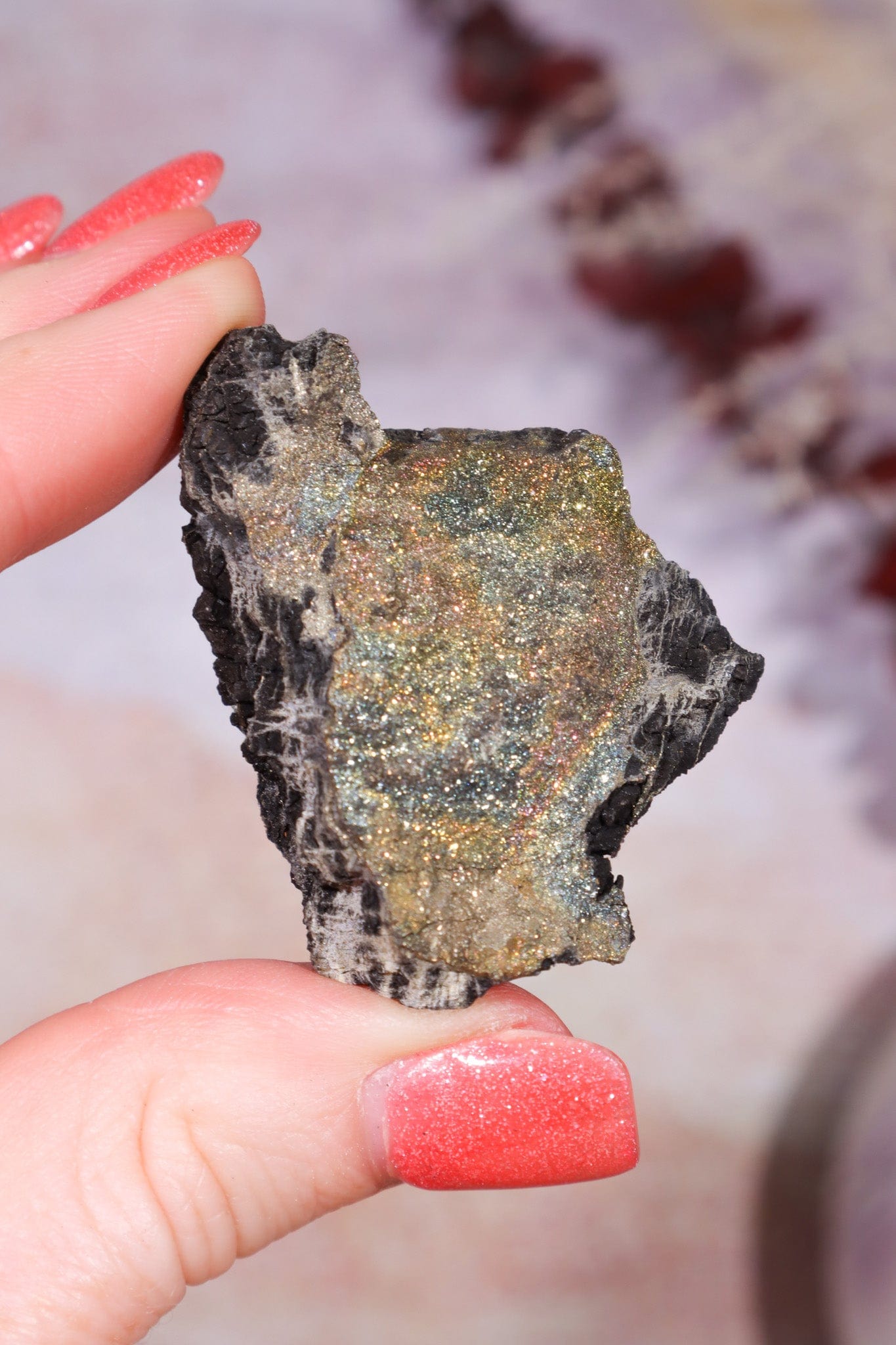 Permineralized Wood with Marcasite 29.6g Fossil Tali & Loz Crystals