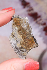 Permineralized Wood with Marcasite 33g Fossil Tali & Loz Crystals