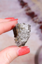 Permineralized Wood with Marcasite 33g Fossil Tali & Loz Crystals